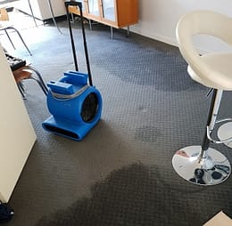 Flood clean-up Auckland