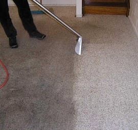 Carpet Drying Auckland