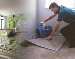 Carpet Drying Hawkes Bay
