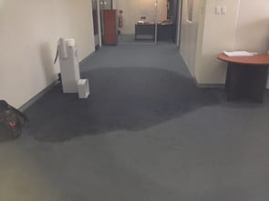 Auckland Carpet Water Damage