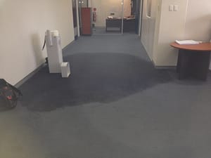 Water Damaged Carpet