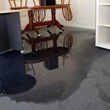 Drying Carpet Tauranga